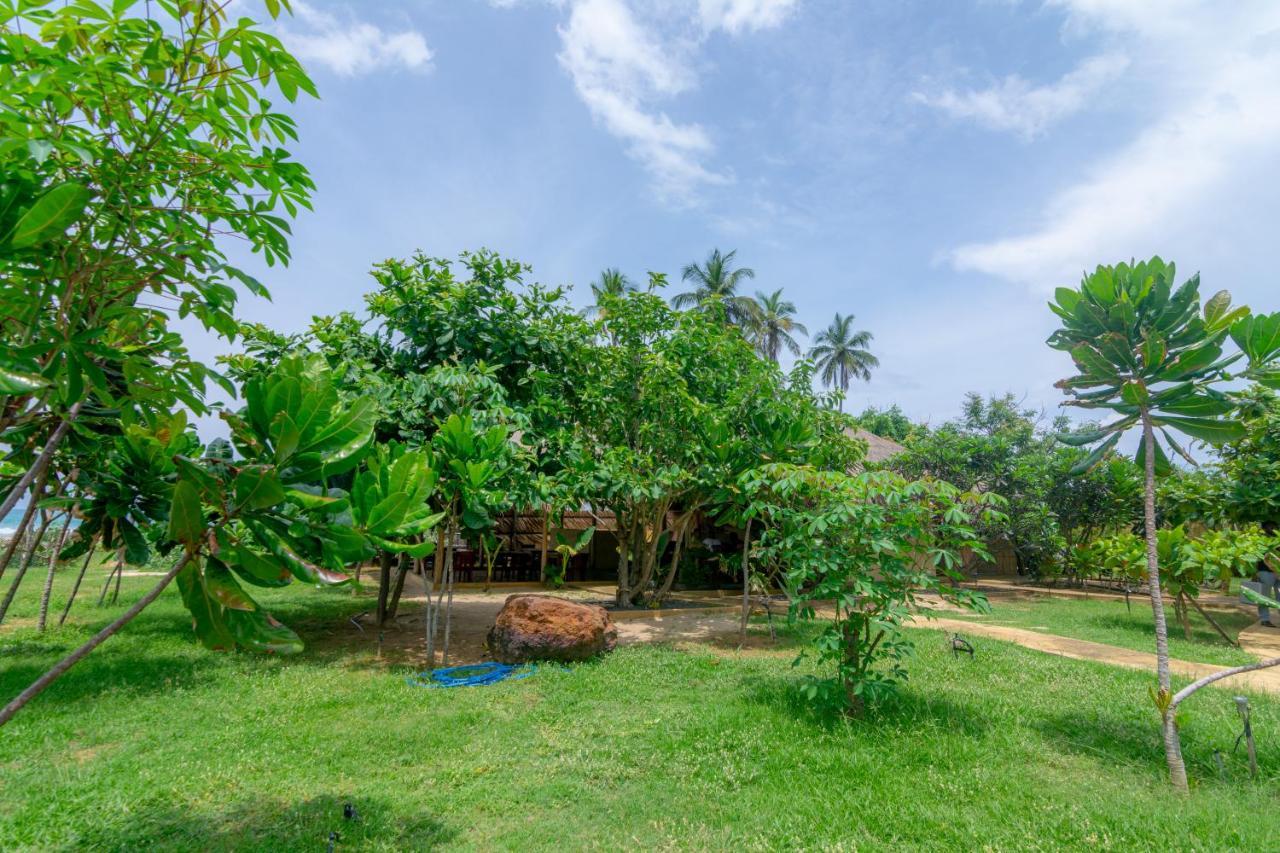 Blue Waters Hotel Arugam Bay Exterior photo